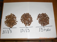 Hazelnuts