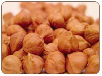 Beaked Hazelnuts