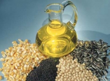 Sunflower Oil Extracted from Seeds