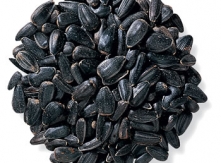 Export Quality Sunflower Kernels at Best Price