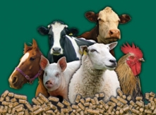 Animals Pellets