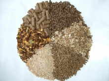 Animal & Bird Feeds