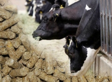 Measuring Fat in Animal Feed Using Benchtop