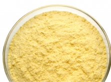 Corn Germ from Bulgaria