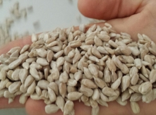 SUNFLOWER KERNELS BAKERY