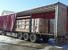Sunflower seeds Exporting from Bulgaria