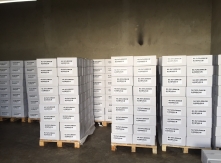 Ready to Export Sunflower Kernels