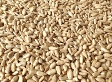 sunflower kernels bakery grade