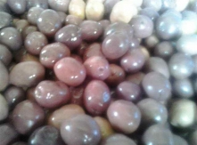 Black Olive