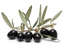 Aceitunas Torrent (Black Olives)