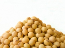 soya beans