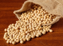 Soy beans on wood table