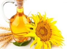Best Quality Oil from Bulgarian Sunflower
