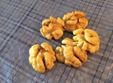 English Walnut