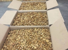 Expor Quality Walnuts