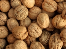Walnut from Bulgaria