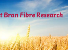 Wheat Bran Fibre Research