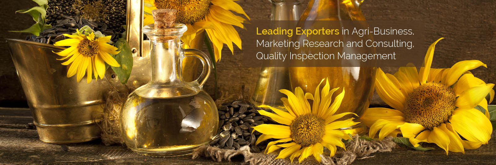 Sunflower Kernels, Sunflower Oil, Olive Oil S.N.E. Export Bulgaria