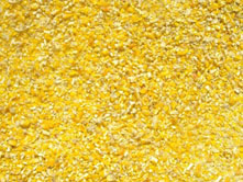 Corn germ