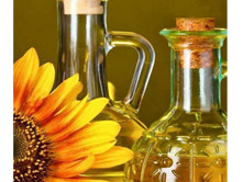 sunoil-fe