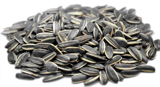sunseed