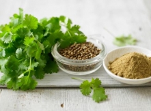 Coriander seeds from Fresh Coriander