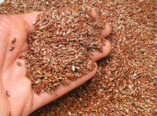 Flaxseeds Quality Check
