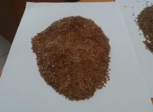 Flax seed from Ukraine