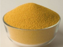 Buy Soya Bean Pulp