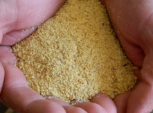 Soya Flour