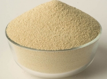 Soybean Meal ZM