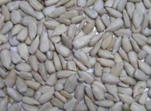 Hulled Sunflower Kernels Confectionery